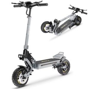 IENYRID S1 Trottinette Électrique 800W – 10 Pouces Pliable Offroad 48V 15Ah